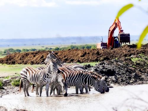 Water4Wildlife #Water Is Life Water pan at Endoinyo Conservancy, Masai Mara constructed on 20th April 2023
